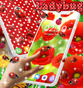 Ladybug live wallpaper(圖1)-速報App