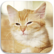 Cats Tile Puzzle  Icon