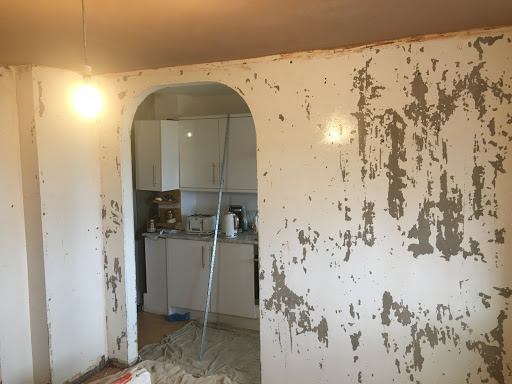 Lounge re skimmed - few walls left to do!
