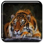 Cover Image of Herunterladen Tiger Live Wallpaper 1.2 APK