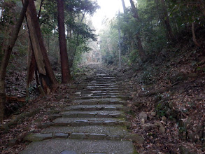 階段を登る