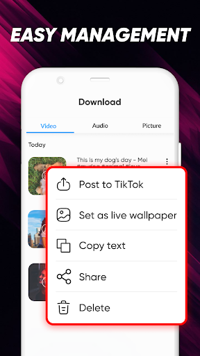 TikTok Video Downloader without Watermark