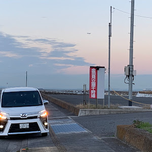 ヴォクシー ZRR80W
