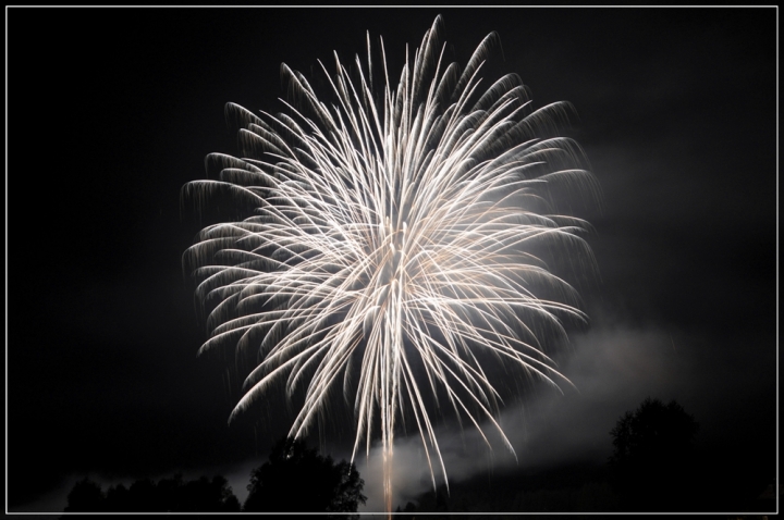 Fiore Notturno di hylablu