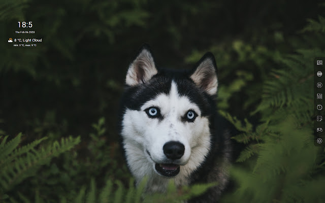 Siberian Husky HD Wallpapers - Custom New Tab