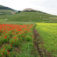 La valle felice. di 