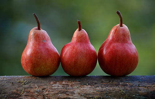 Can dogs eat fresh pears