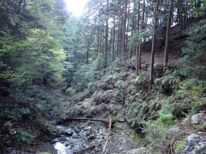 徐々に登りに