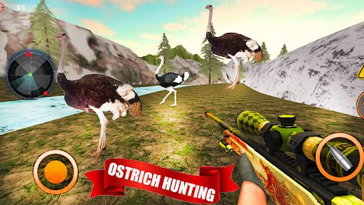 Wild Bird Ostrich Hunting 3D