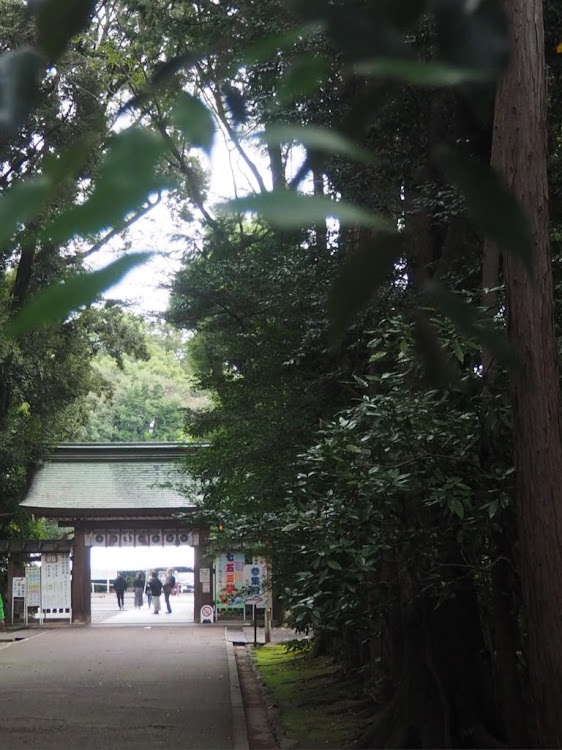 パッソの砥鹿神社に関するカスタム事例の投稿画像9枚目