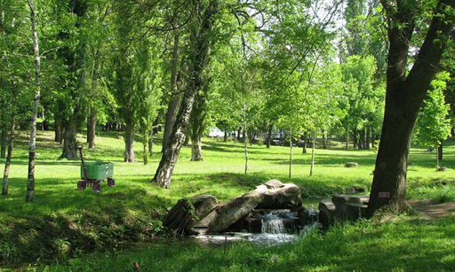 Escape From Romanescu Park