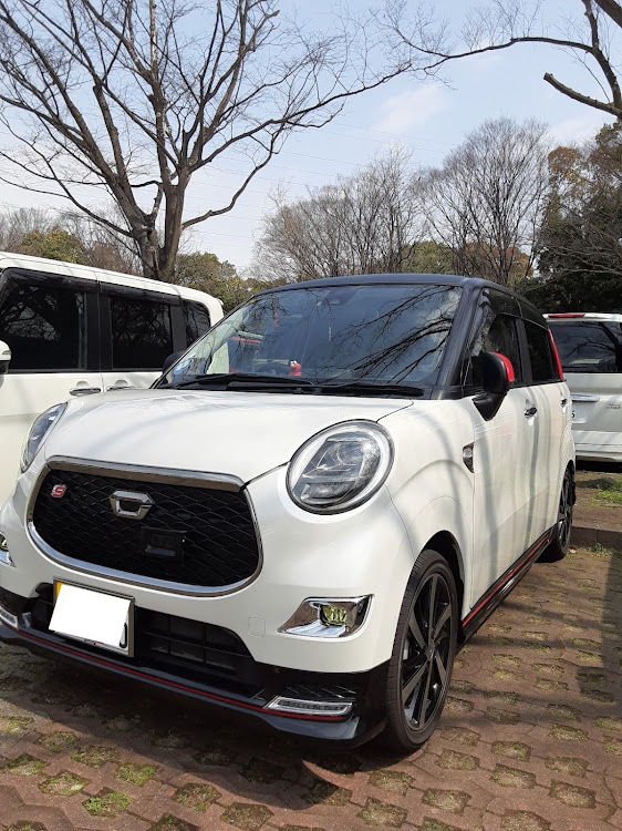キャストの大仙公園・いいてんき！・#ニッシン自動車工業・黄砂・雨フラナイデネ！に関するカスタム事例の投稿画像3枚目
