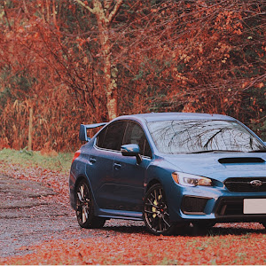 WRX STI VAB