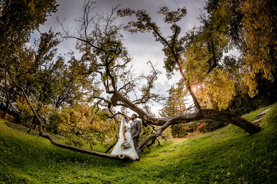 Wedding photographer Davide Mantoan (mantoan). Photo of 20 December 2017