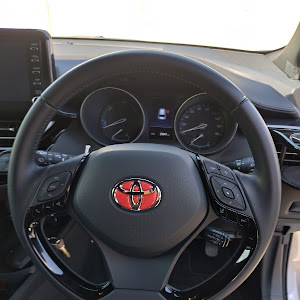 C-HR ZYX11