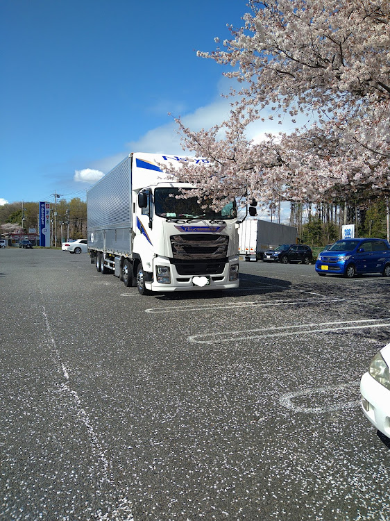 ギガの桜とコラボ🌸に関するカスタム事例の投稿画像3枚目