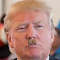 Item logo image for Trump To Hitler