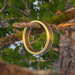 "Light's Glow" Gold Ring of Giants