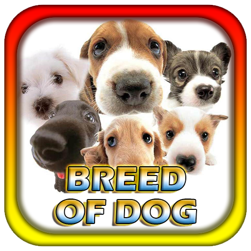 Breed Of Dog