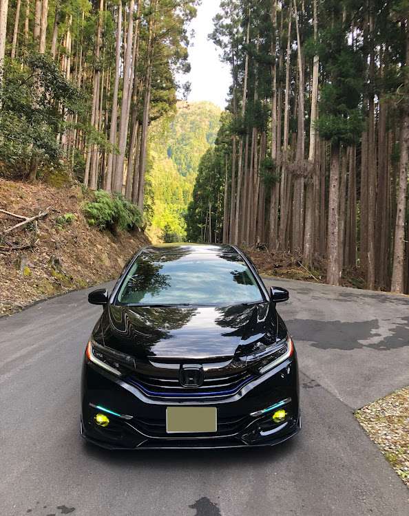 シャトルの奈良県十津川村・初めてのラップ塗装に関するカスタム事例の投稿画像5枚目