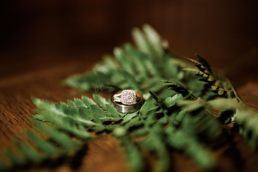 Fotógrafo de bodas Amanda Steinbacher (amandasteinbach). Foto del 8 de septiembre 2019