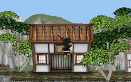 Ninja Master