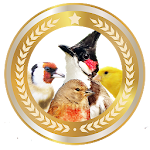 Cover Image of Download Bird sounds 1.0 APK