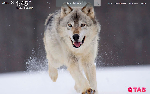 Wolf Wallpapers New Tab Theme