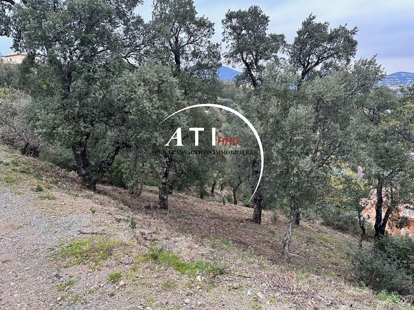 Vente terrain à batir  2045 m² à Sainte-Maxime (83120), 950 000 €