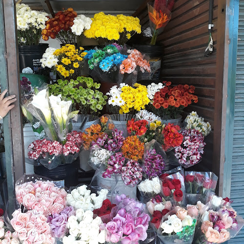 Opiniones de Florería Sensación en Quito - Floristería