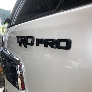 ランドクルーザープラド TRJ150W