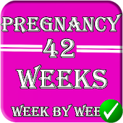 🆕 pregnancy stages 1.0 Icon