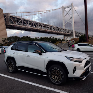 RAV4 AXAP54