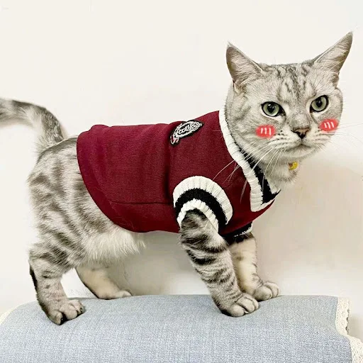 Pet Dog Knitted Sweater Clothes for Small Medium Dogs,Winter Warm Padded V-neck Dog School Uniform,Chihuahua French Bull