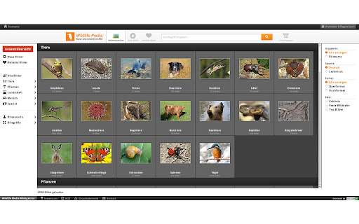 Wildlife Media