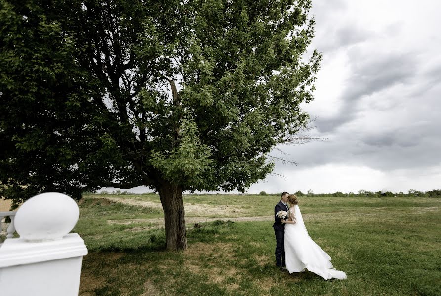 Fotografo di matrimoni Tatyana Alekseeva (talexeeva1978). Foto del 28 maggio 2022