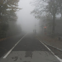 Nebbia ai Piani Resinelli. di 