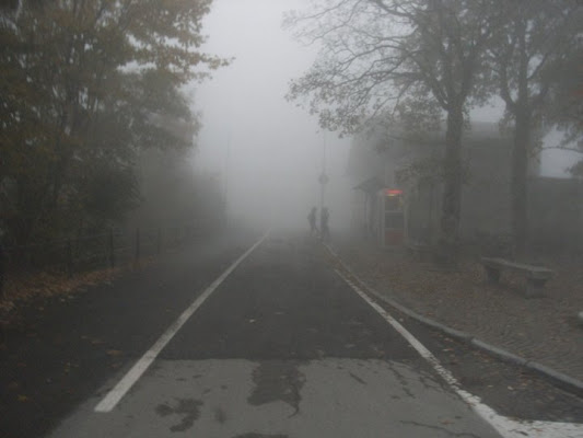 Nebbia ai Piani Resinelli. di cippi