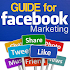 Guide for Facebook Marketing2.0