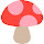 Mushroom Wallpaper HD Custom Mushrooms NewTab