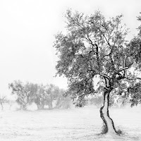 In the snow di GoForIT