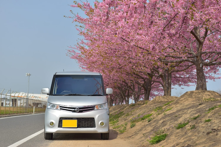 ルークス ハイウェイスター ターボの河津桜・児島湖花回廊・桜とコラボ・岡南飛行場・岡山に関するカスタム事例の投稿画像6枚目