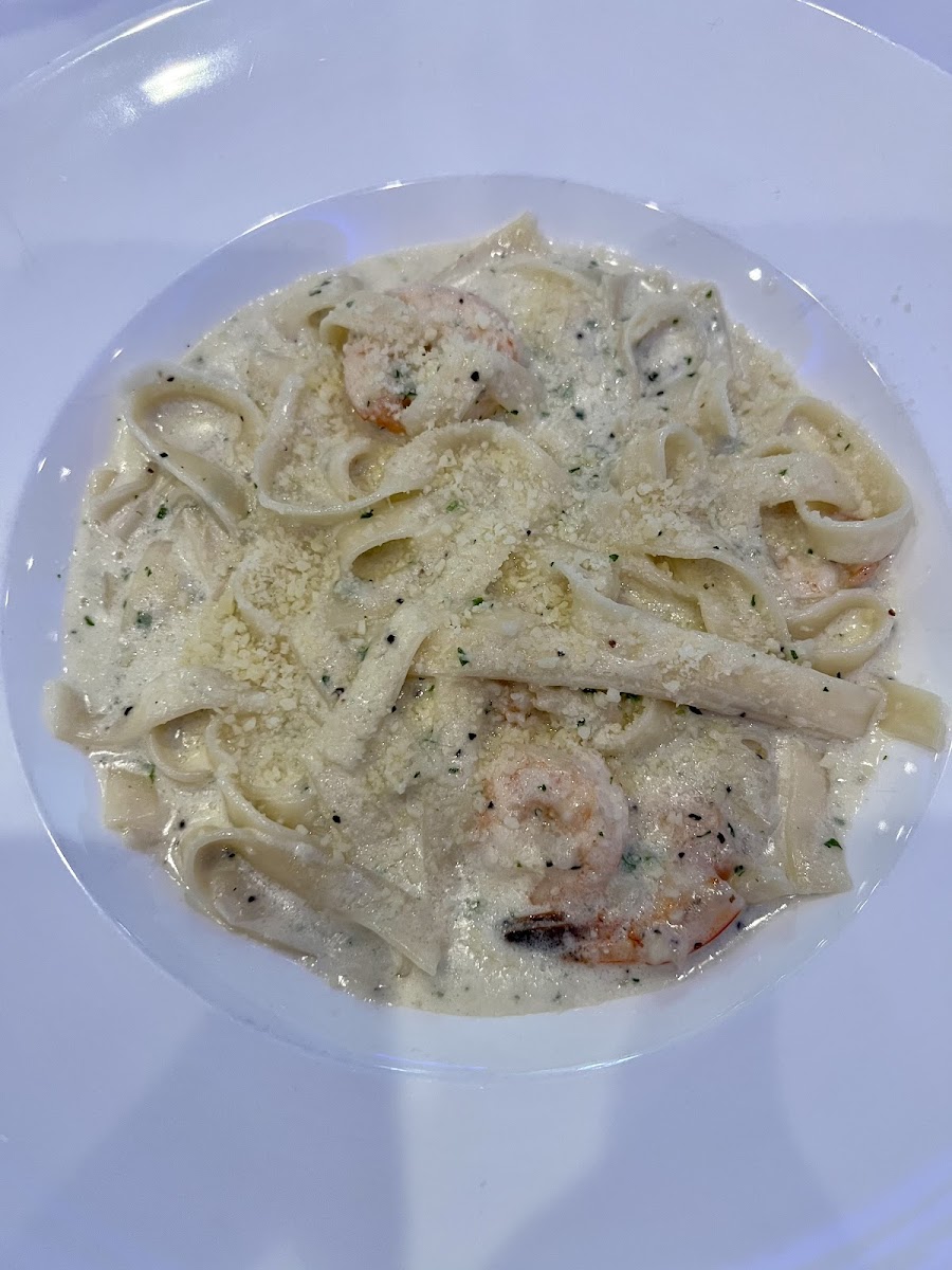 GF fettuccine with shrimp in a parmesan cream sauce