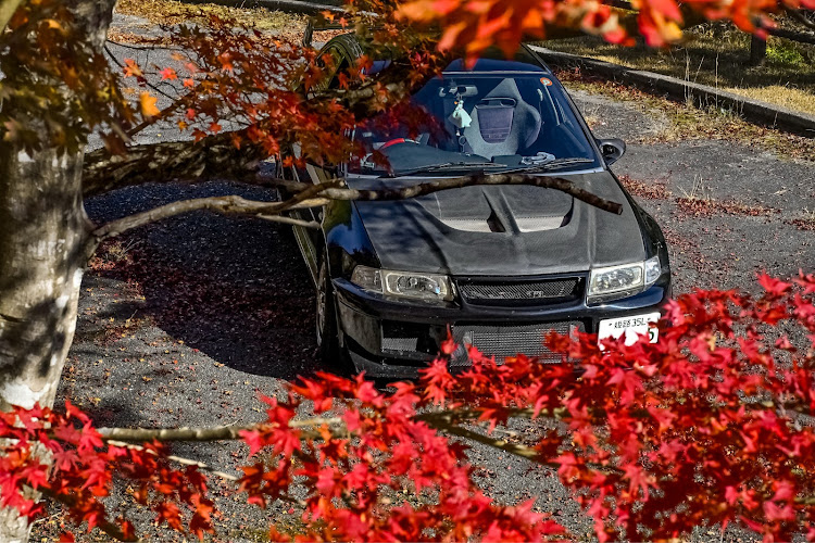 ランサーエボリューションの紅葉と愛車・ランサーエボリューション5・CP9A・カッコカワイイ愛車・2025ベストショットに関するカスタム事例の投稿画像5枚目