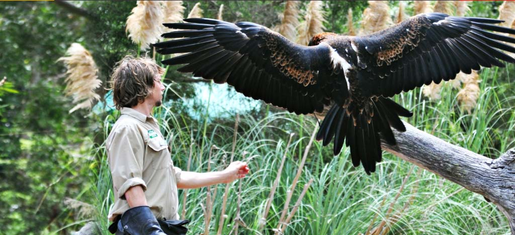 Currumbin Wildlife Sanctuary