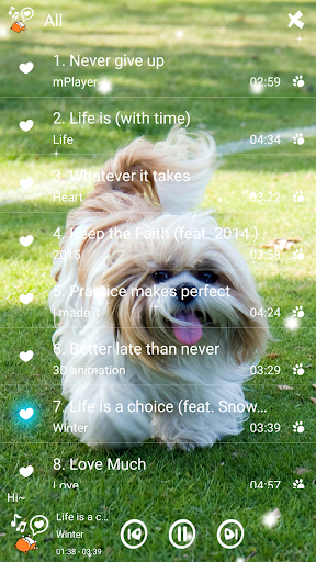 Photo Music Player Snow star