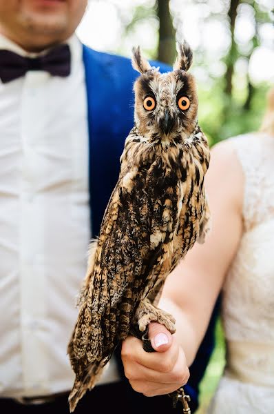 Svadobný fotograf Alina Ovsienko (ovsienko). Fotografia publikovaná 13. októbra 2016