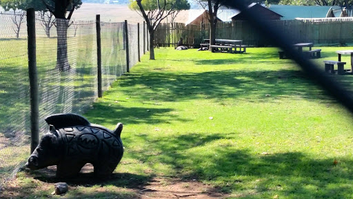 Lion Park South Africa 2015