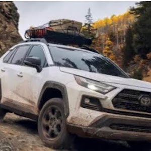 RAV4 MXAA54