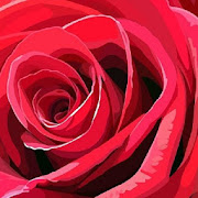 Rose Wallpapers HD  Icon